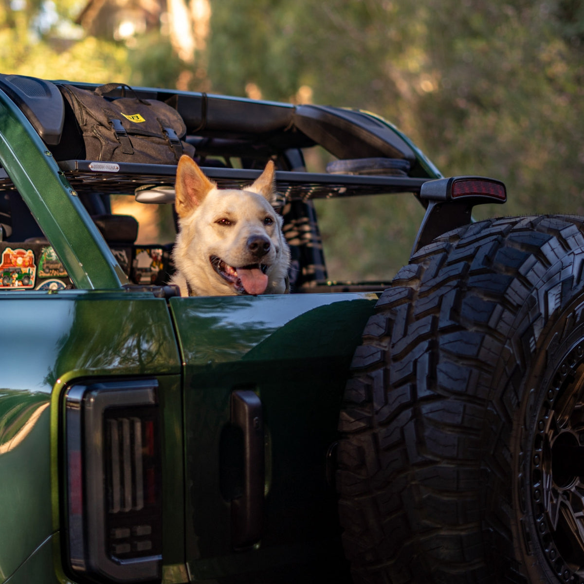 Roof Shelf (Dachablage) - FORD Bronco 6G 4-Türer-11-Bison Gear
