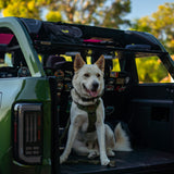 Roof Shelf (Dachablage) - FORD Bronco 6G 4-Türer-10-Bison Gear
