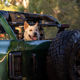 Roof Shelf (Dachablage) - FORD Bronco 6G 4-Türer-11-Bison Gear