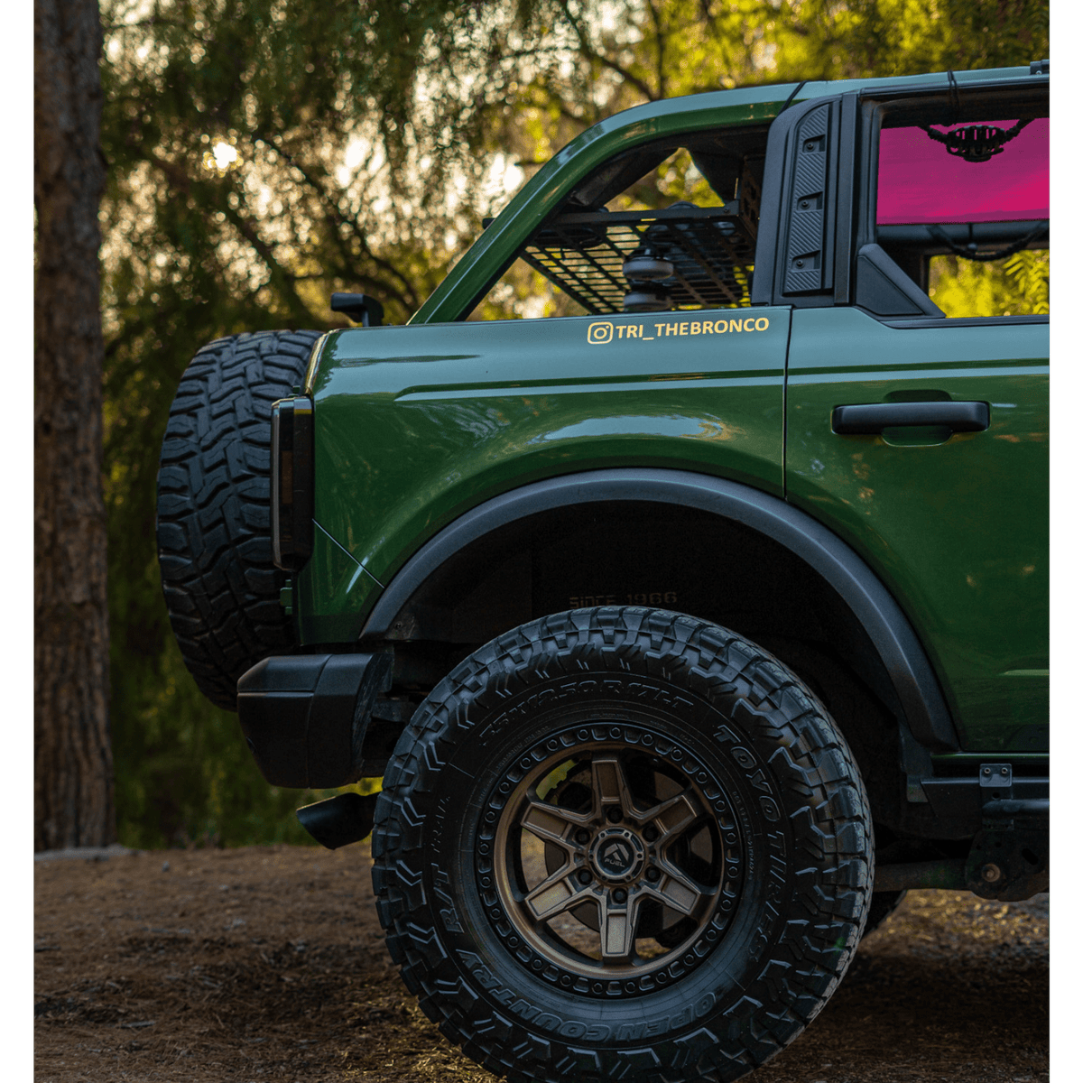 Roof Shelf (Dachablage) - FORD Bronco 6G 4-Türer-9-Bison Gear